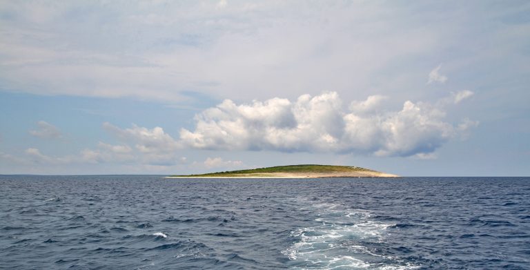 Planik