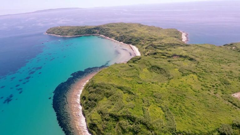 Susak