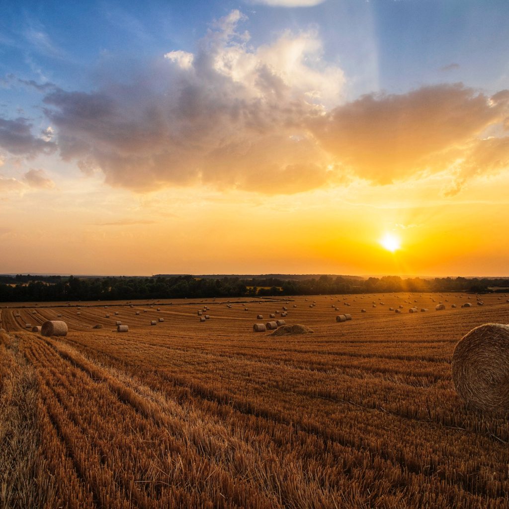 Slavonia